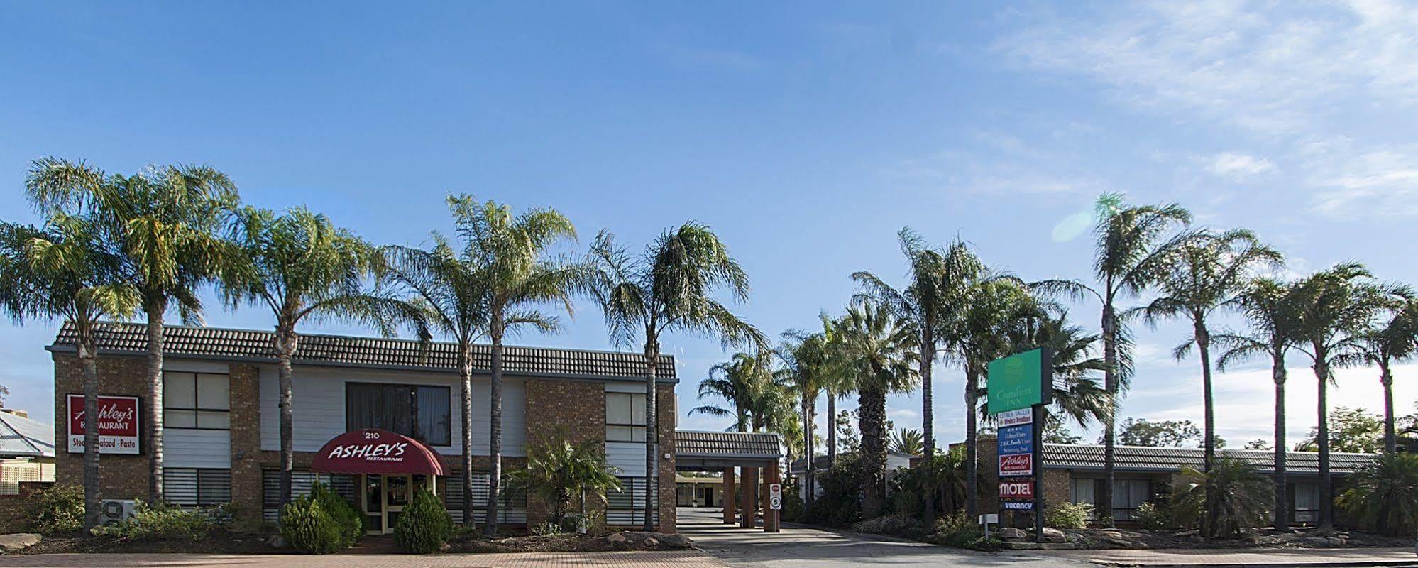 Citrus Valley Motel Ренмарк Екстер'єр фото